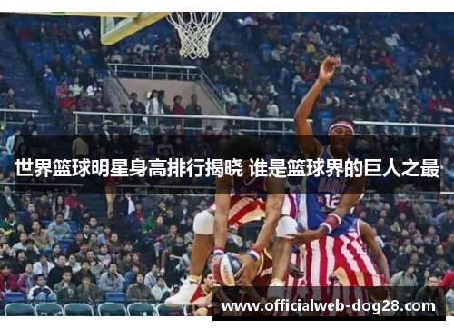 世界篮球明星身高排行揭晓 谁是篮球界的巨人之最