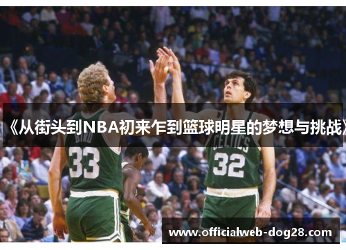 《从街头到NBA初来乍到篮球明星的梦想与挑战》