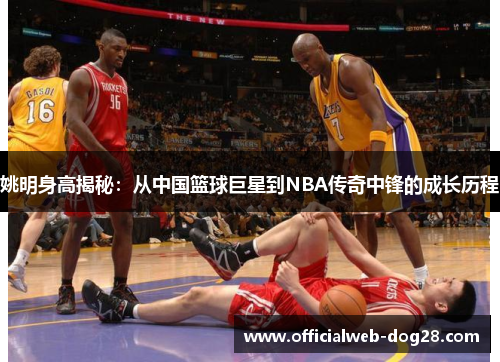 姚明身高揭秘：从中国篮球巨星到NBA传奇中锋的成长历程