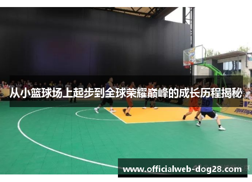 从小篮球场上起步到全球荣耀巅峰的成长历程揭秘