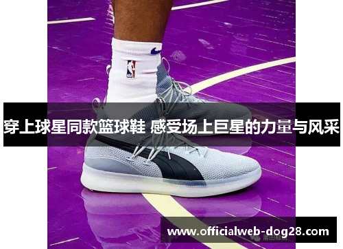 穿上球星同款篮球鞋 感受场上巨星的力量与风采