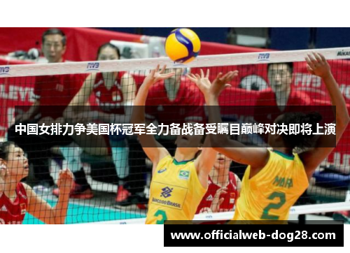 中国女排力争美国杯冠军全力备战备受瞩目巅峰对决即将上演