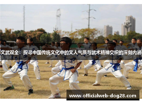 文武双全：探寻中国传统文化中的文人气质与武术精神交织的深刻内涵