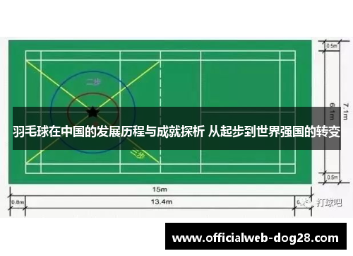 羽毛球在中国的发展历程与成就探析 从起步到世界强国的转变