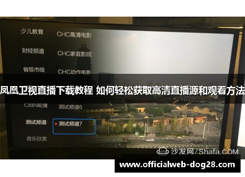 凤凰卫视直播下载教程 如何轻松获取高清直播源和观看方法